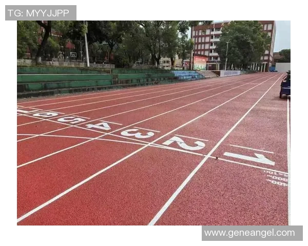 塑胶跑道的建设与维护：提高运动场地质量与运动员表现的关键因素