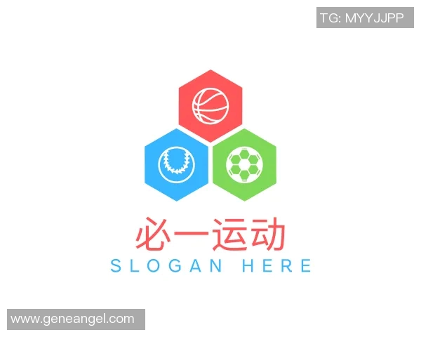 与王娜畅谈她的篮球生涯与成长历程的精彩对话